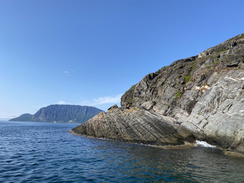 Skjervøy: Birds and Wildlife of Arctic Norway - Dolphins and porpoises, the most dependable targets