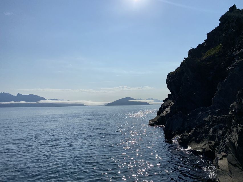 Skjervøy: Birds and Wildlife of Arctic Norway - Eagles, puffins, and the spring bird season