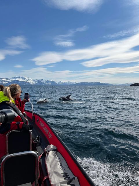 Skjervøy: Birds and Wildlife of Arctic Norway - A steady Rib, Arctic water, and useful winter gear