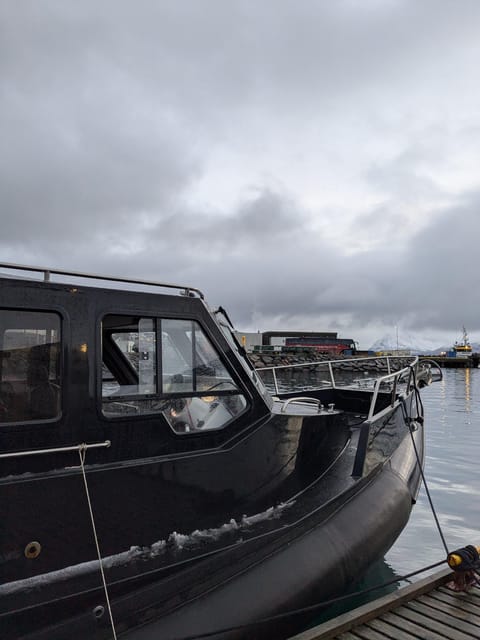 Skjervøy: Orca and Whale-Watching comfort heated Boat Trip - Leaving the Skua Nature meeting point