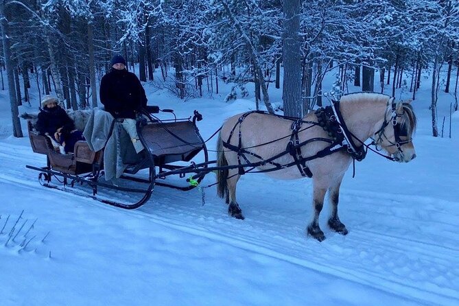 Sleigh or wagon ride in the arctic Country side - A gentle way into Alta’s Arctic countryside