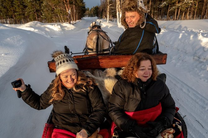 Sleigh or wagon ride in the arctic Country side - Pickup from Alta makes the morning simple