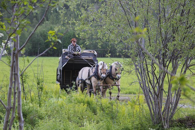 Sleigh Ride w/ snacks - Experience Arctic Farm Life - Warming up inside the Sami lavvu