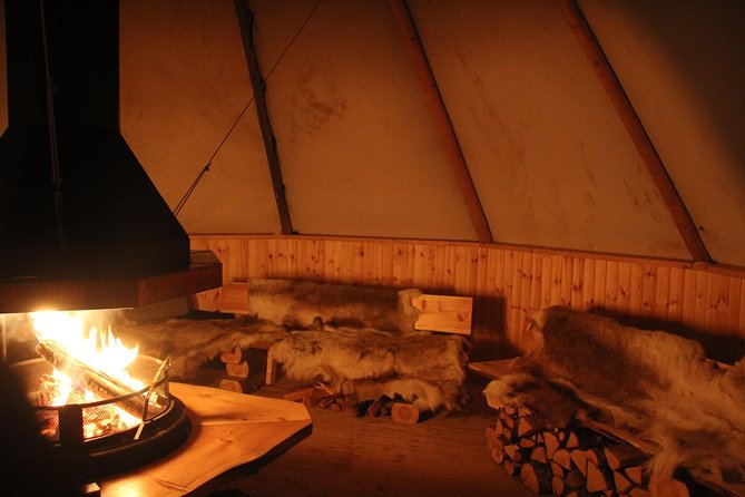 Sleigh Ride w/ snacks - Experience Arctic Farm Life - Meeting the sheep, horses, dogs, and cat