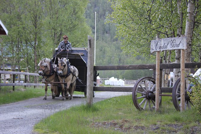 Sleigh Ride w/ snacks - Experience Arctic Farm Life - How much value do you get for $183.08?