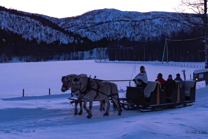 Sleigh Ride w/ snacks - Experience Arctic Farm Life - Who will enjoy Omdal Gard most?
