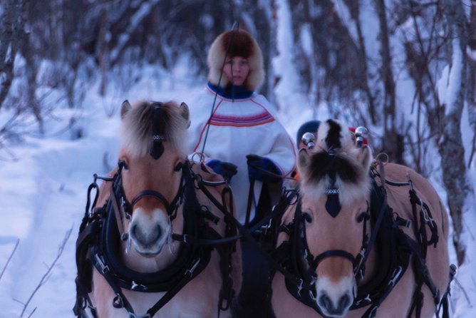 Sleigh Ride w/ Tapas Meal - Experience Arctic Farm Life - Warm clothing and comfort in cold weather