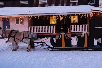 Sleigh Ride w/ Tapas Meal – Experience Arctic Farm Life