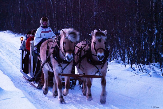 Sleigh Ride w/ Tapas Meal - Experience Arctic Farm Life - Tapas by the fire in a Sami lavvo