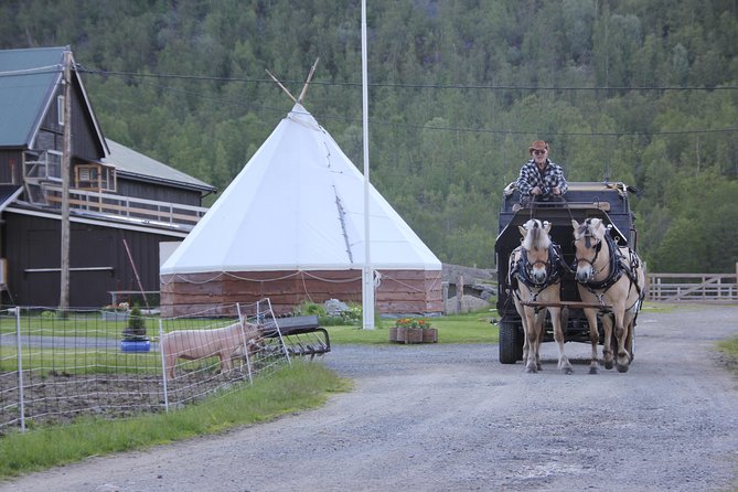 Sleigh Ride w/ Tapas Meal - Experience Arctic Farm Life - Meeting sheep and seeing a working family farm