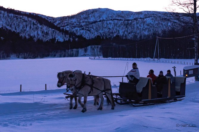 Sleigh Ride w/ Tapas Meal - Experience Arctic Farm Life - How personal is the private tour?