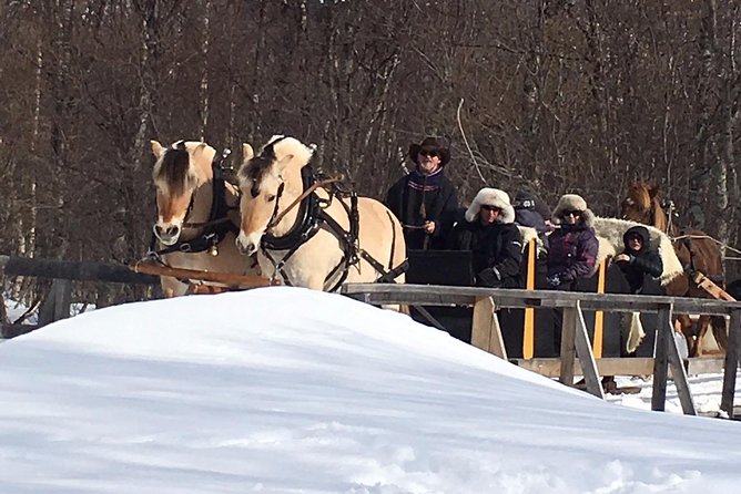 Sleigh Ride w/ Tapas Meal - Experience Arctic Farm Life - Is $236.79 a fair price?
