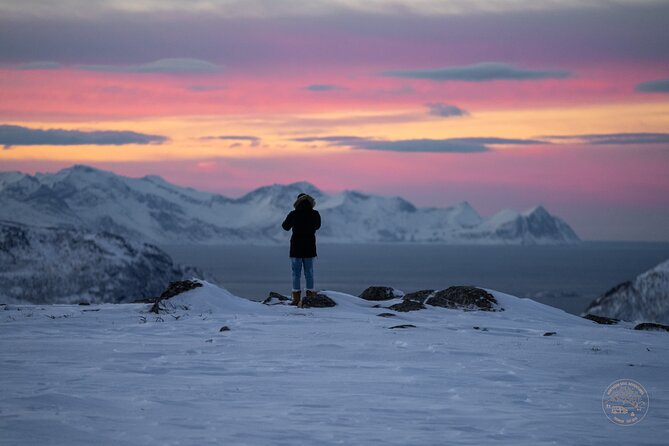 Small Group Arctic Fjords Road trip with Scenic Picnic - Key Points to Know Before You Book