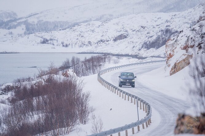 Small Group Arctic Fjords Road trip with Scenic Picnic - Wildlife: Enjoy the Possibility, Not the Promise