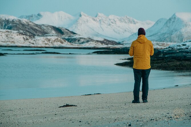 Small Group Arctic Fjords Road trip with Scenic Picnic - Kvaløya’s Fjords, Beaches, and Frozen Lakes