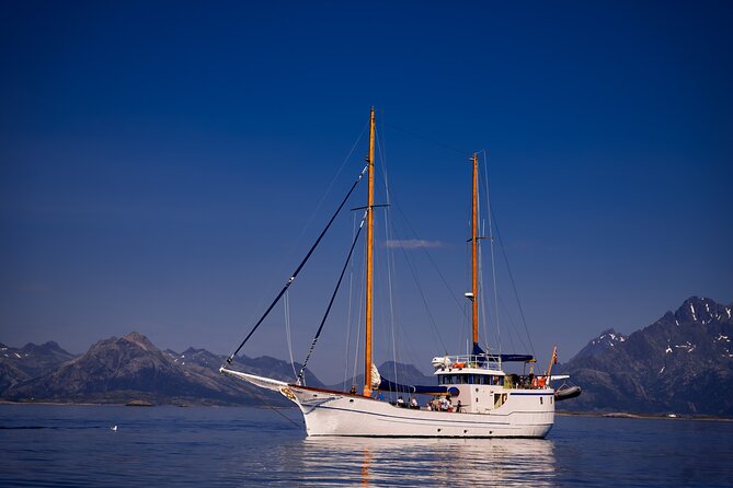 Small Group Luxury Cruise to Trollfjord on a 33m Classic Yacht - Narrow straits on the way to Trollfjord