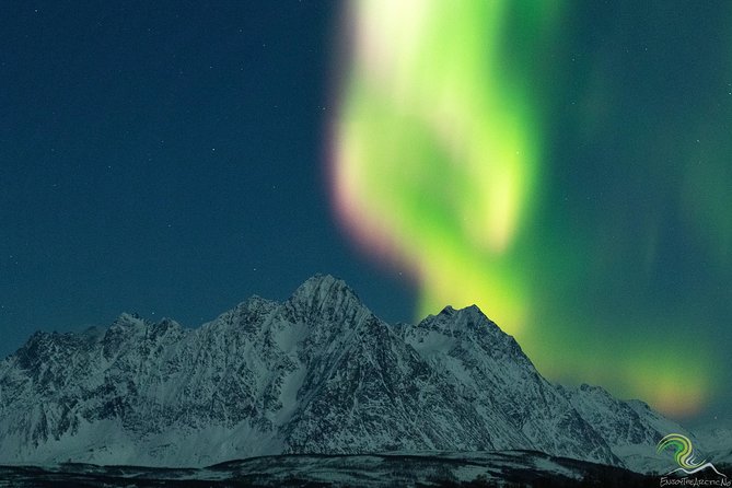 Small-Group Northern Lights Tour from Tromso with Photos - Meeting the minibus at 6 p.m. in Tromsø