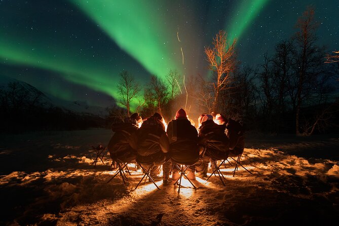 Small-Group Northern Lights Tour from Tromso with Photos - Fires, hot drinks, and the hard truth about the cold