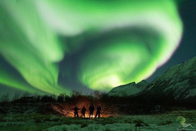 Small-Group Northern Lights Tour from Tromso with Photos - What the evening feels like on the road