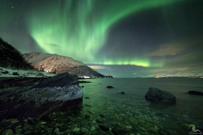 Small-Group Northern Lights Tour from Tromso with Photos - Photography under the Northern Lights