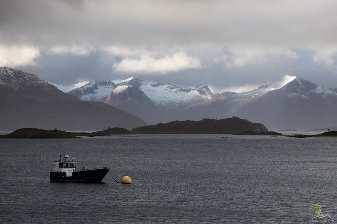 Small-Group Norwegian Fjords Tour from Tromso with Photos - White beaches, troll mountains, and open sea