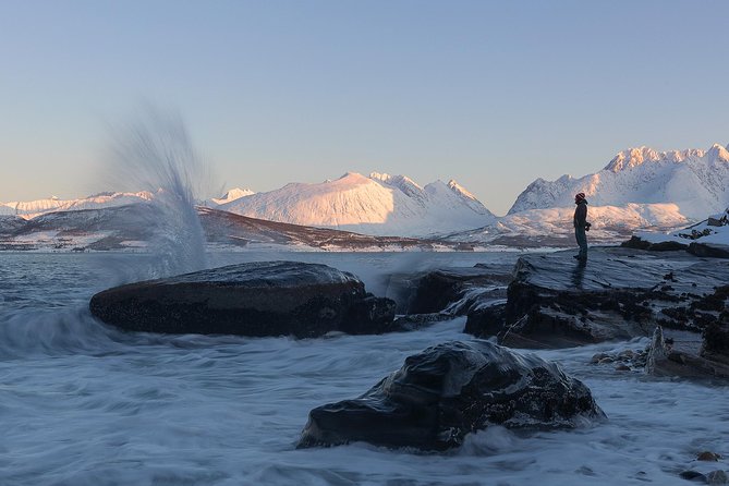 Small-Group Norwegian Fjords Tour from Tromso with Photos - Coffee, cake, and a fire-lit hut