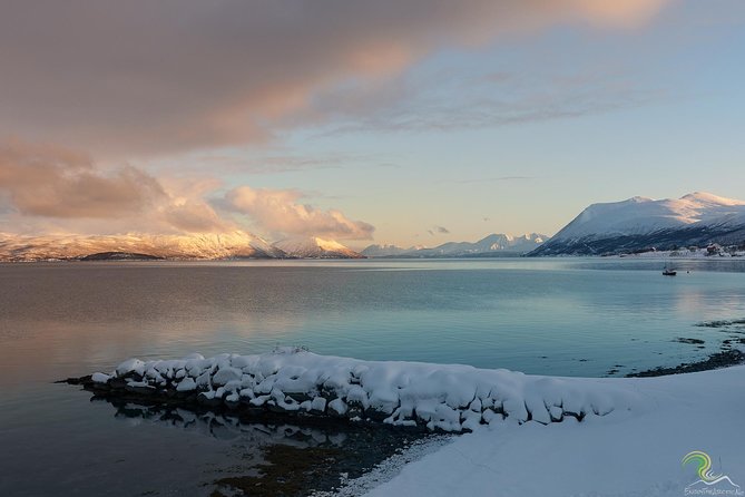 Small-Group Norwegian Fjords Tour from Tromso with Photos - Several short stops instead of one long hike