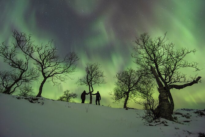 Small Group Quest to find the Northern Lights in Tromsø - Chasing clearer skies beyond Tromsø