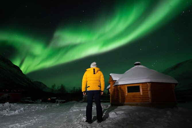 Small Group Tromsø: Northern Lights Chase with Photos and Dinner - Group size, guide support, and comfort