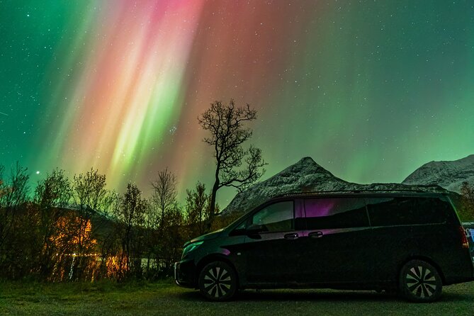 Small Group Van Journey in Search of the Northern Lights - Key details at a glance