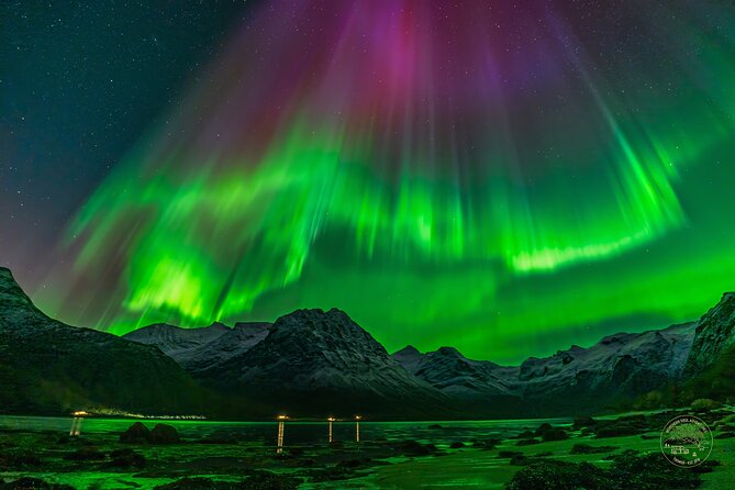 Small Group Van Journey in Search of the Northern Lights - Why this Tromso aurora hunt is different