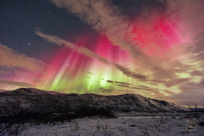 Small Group Van Journey in Search of the Northern Lights - Warm clothing and camp comfort