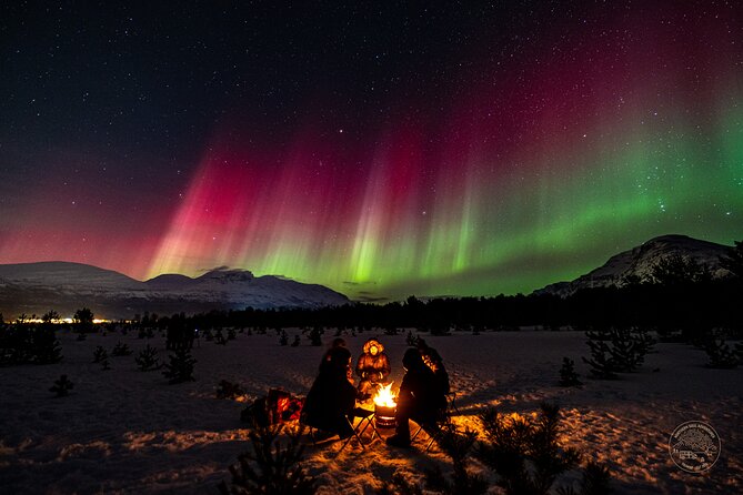 Small Group Van Journey in Search of the Northern Lights - Following the Tromso fjords and beyond