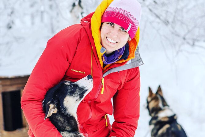 Small Group Wilderness Husky Sledding 2h from Tromsø (car needed) - The forest trail and Arctic silence