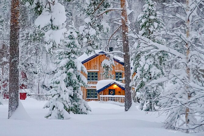 Small Group Wilderness Husky Sledding 2h from Tromsø (car needed) - Lunch beside the trail