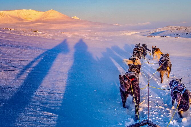 Small Group Wilderness Husky Sledding 2h from Tromsø (car needed) - Meeting the dogs before the sled run