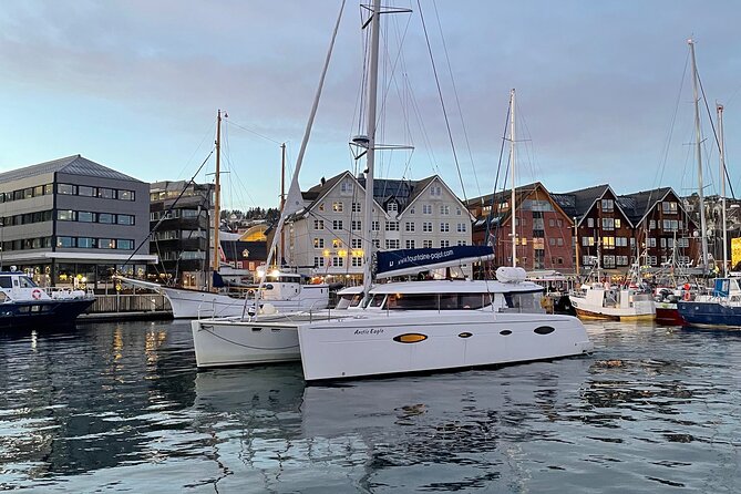 Snorkeling with Orcas In Norway, 4 days All-Inclusive expedition - Life aboard the catamaran for four days