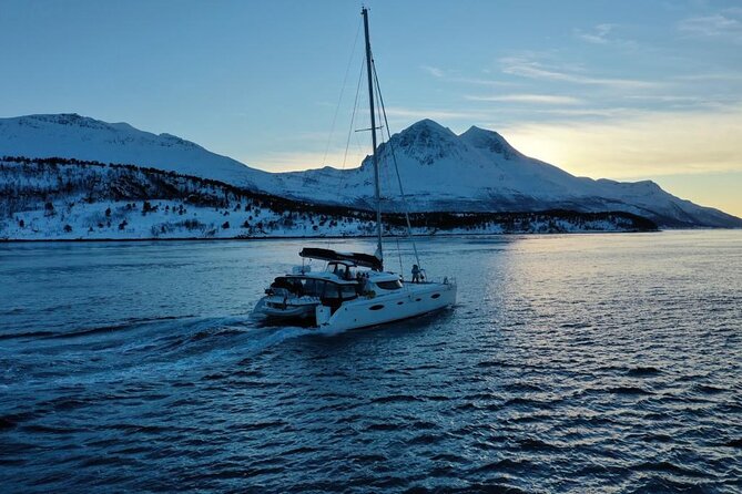 Snorkeling with Orcas In Norway, 4 days All-Inclusive expedition - The crew and the small-group advantage