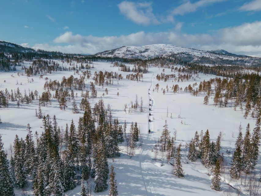 Snowmobile Safari in the mountains of Helgeland! - Practical tips before you go