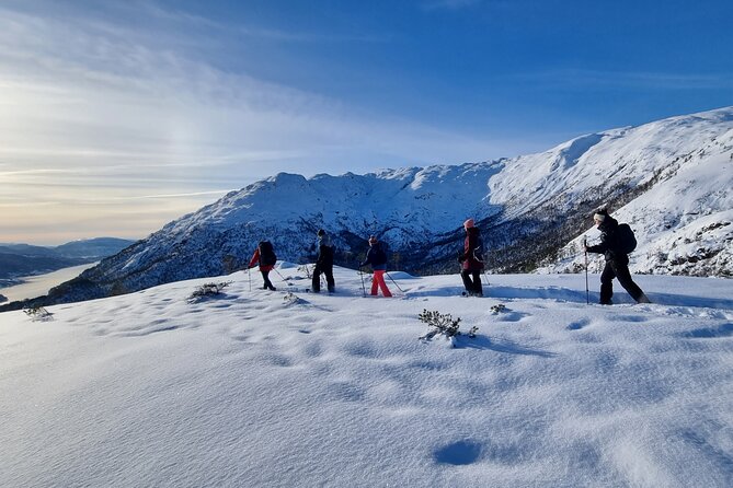 Snowshoe hiking in Bergen - Public tour - Why this Bergen snowshoe hike catches my attention