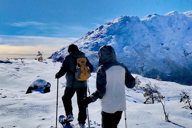 Snowshoe hiking in Bergen - Public tour - Is $246.38 a fair price?