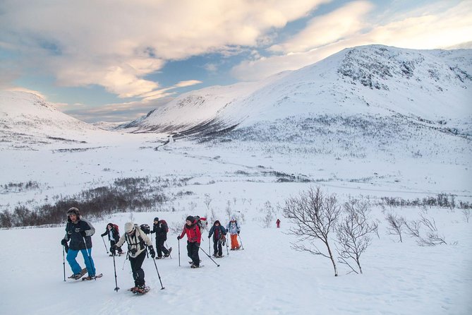Snowshoe Hill Hike in Tromsø - Quick facts about the Tromsø snowshoe hike