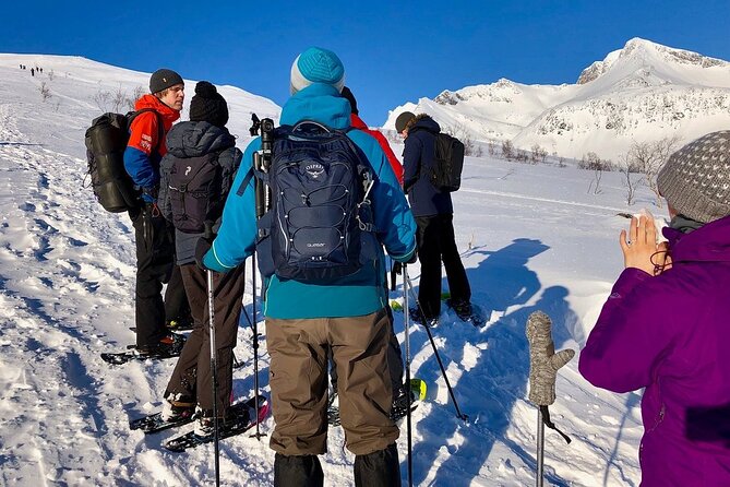 Snowshoe Hill Hike in Tromsø - Breaks, photos, and Arctic explanation