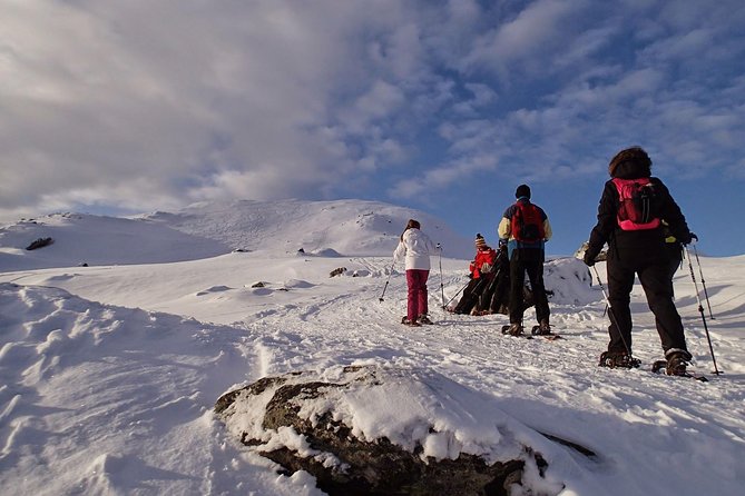 Snowshoe Hill Hike in Tromsø - Climbing toward the 400-meter summit