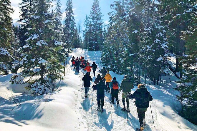 Snowshoe Tour in Winter Wonderland - Oslo - What to wear for a cold forest outing
