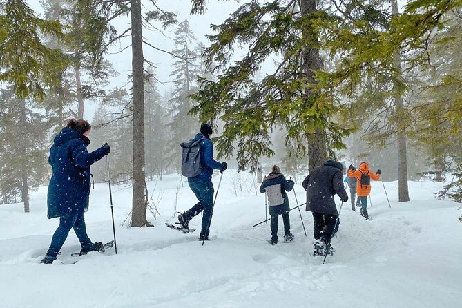 Snowshoe Tour in Winter Wonderland - Oslo - The guide can make or break the outing