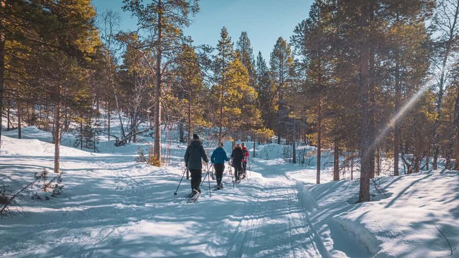 Snowshoeing Adventure to the Enchanting Frozen Waterfall - Meeting the frozen waterfall up close