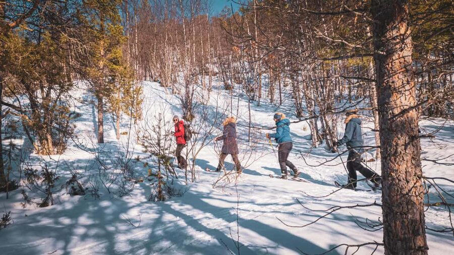 Snowshoeing Adventure to the Enchanting Frozen Waterfall - Rose, Birk, and the guiding style