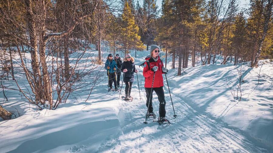 Snowshoeing Adventure to the Enchanting Frozen Waterfall - Is $187 per person fair value?