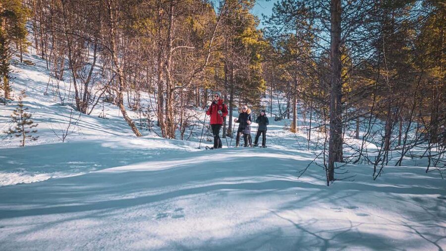 Snowshoeing Adventure to the Enchanting Frozen Waterfall - Who will enjoy this most?